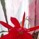 희망여인숙 이미지