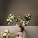 돌잔치 (삼신상, 떡종류, 셀프돌상, 돌사진)