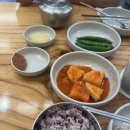 체크인챌린지#4. 제주 은희네 해장국