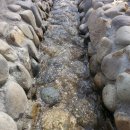 용문산관광지(야영장) 이미지