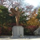 바오로성당(앞)