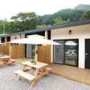 모더니컬 이미지