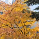 로뎀나무한의원 이미지