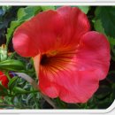 아늑한쉼터 이미지