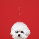 몽그라피 이미지