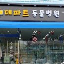 데파트 동물병원 이미지