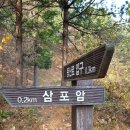 솔내음 캠핑장 이미지