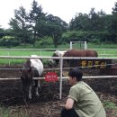 상진목장 이미지