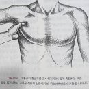 빛나짐 PT 이미지