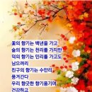 2025년 12월 22일 동짓날에~!벙개칩니다 이미지
