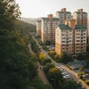 숲속길마을 6단지 동문굿모닝힐 경로당 | 숲속길마을6단지 동문굿모닝힐 아파트 경매 2025타경64197 입찰 정보