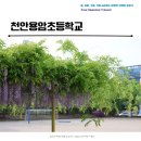 용암초등학교 이미지