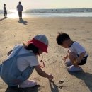 상하고향목장 이미지