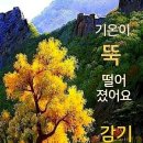 윤태화 금산인삼축제공연&뉴스 이미지