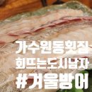대전 가수원동 도안동 횟집｜겨울 방어 맛집 &#34;회뜨는도시남자&#34;