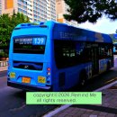 교리초등학교 입구 이미지