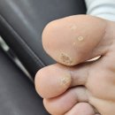 웰스피부과의원 이미지