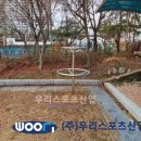대구유천초등학교 네이버블로그
