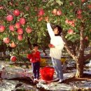 자연-탄생 이미지