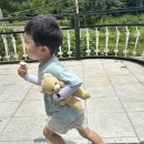 하식목장 | 경남 남해 1박2일 가족여행 코스