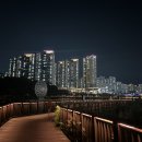 버드나무크래프트
