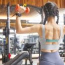 필라펠리스 이미지