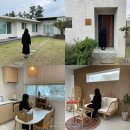 스테이 도노 | 제주 애견동반 숙소 조천 조용한 감성 펜션, 스테이도노