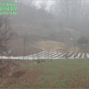 옥천군안남면지수보건진료소 | [충북 옥천군 안남면 토지(전)경매] 충청북도 옥천군 안남면 지수리 417-1 [2015타경641]