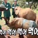 미미픽네일