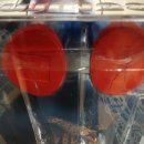 미라클메디콤 이미지