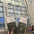 [보라카이] 필리핀 항공 이용 후기 기내식 온라인 체크인 칼리보 공항