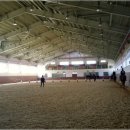 상주국제승마장 이미지