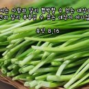 하느님께서는 인간과 달리 부추길 수 있는 대상이 아니십니다.(유딧 8,16) 이미지