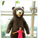 제주테디베어뮤지엄 이미지