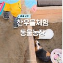 호야 농장 | 일산 아이랑 갈만한곳 고양 찬우물 동물농장 실내 동물원 먹이주기 체험