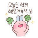 1층 명품세탁소 이미지