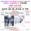 겨울왕국 태백까지 한 번에 대전충청권 유일 새마을호 전세열차 운행 태백산 눈꽃축제 &amp; 기차여행 (선착순 430명 모집) 이미지