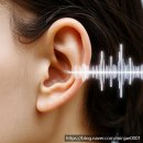 시그니아독일보청기수원영통센터 | [시그니아수원영통센터]난청의 원인과 유형 👂🔍