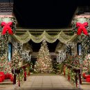 안녕댕댕쓰 | 포천 대형 트리 카페 어가길베이커리 &amp; 숲속의 제빵소🎄🥧❤️