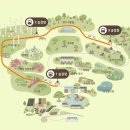 숲 | [광주 곤지암] 부모님과 함께 가기 좋은 봄 여행지, 화담숲 후기