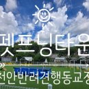 펫프닝 타운 이미지