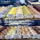 12/6 동백 선캐쳐 | 제주도 빵집 추천 아베베 베이커리 제주 동문시장 유명 먹거리
