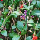 건구농장 이미지