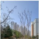 중흥최고부동산공인중개사사무소 이미지