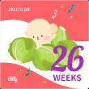 푸라닭동두천지행점 | [26~28주] 중기입체초음파와 태교여행, 육아휴직