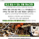 우성꽃화원 이미지