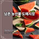 남동농산물 | 남촌 농산물 도매시장 방문 후기 l 7월 4일