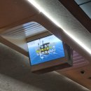 여수중앙병원 | [여수남해여행] 이 여행의 엔딩은 머리 쿵