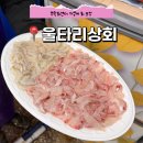 부산 광안리회포장 맛집 민락회타운 울타리상회