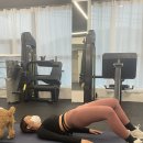 매료피티 이미지